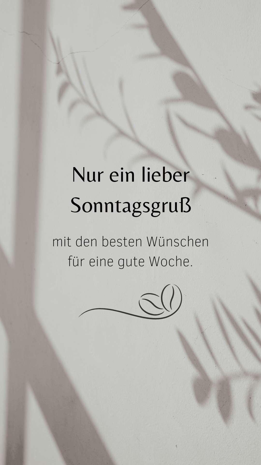 guten morgen bilder fürs handy kostenlos whatsapp sonntag