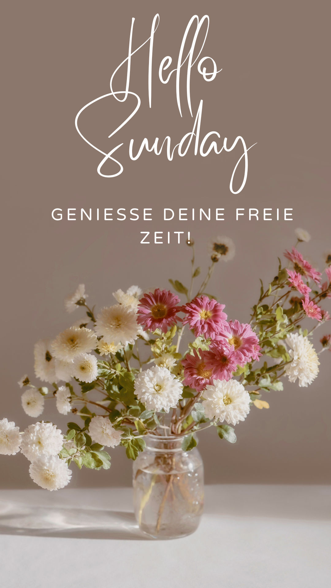 guten morgen bilder fürs handy kostenlos whatsapp sonntag