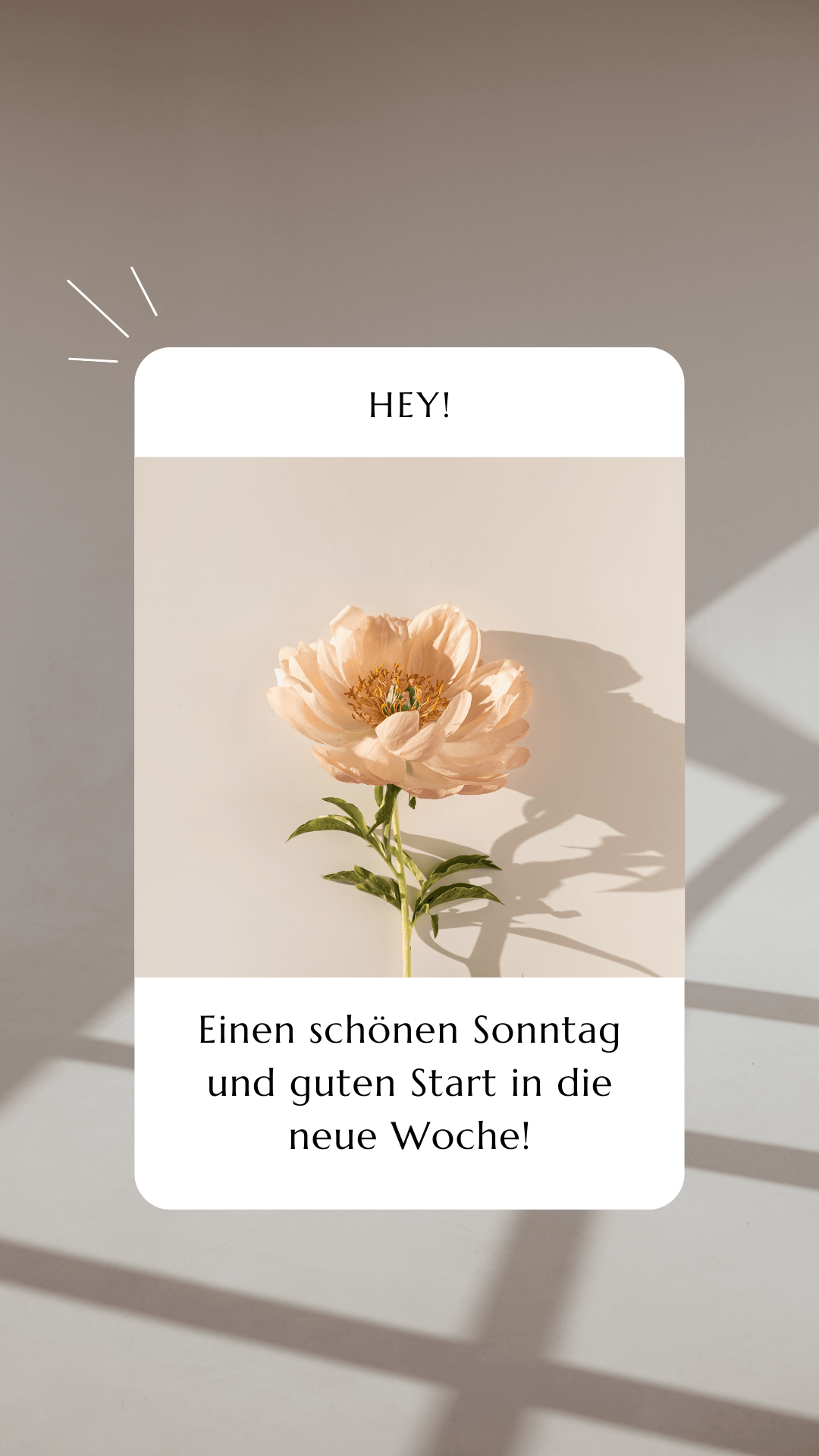 guten morgen bilder fürs handy kostenlos whatsapp sonntag