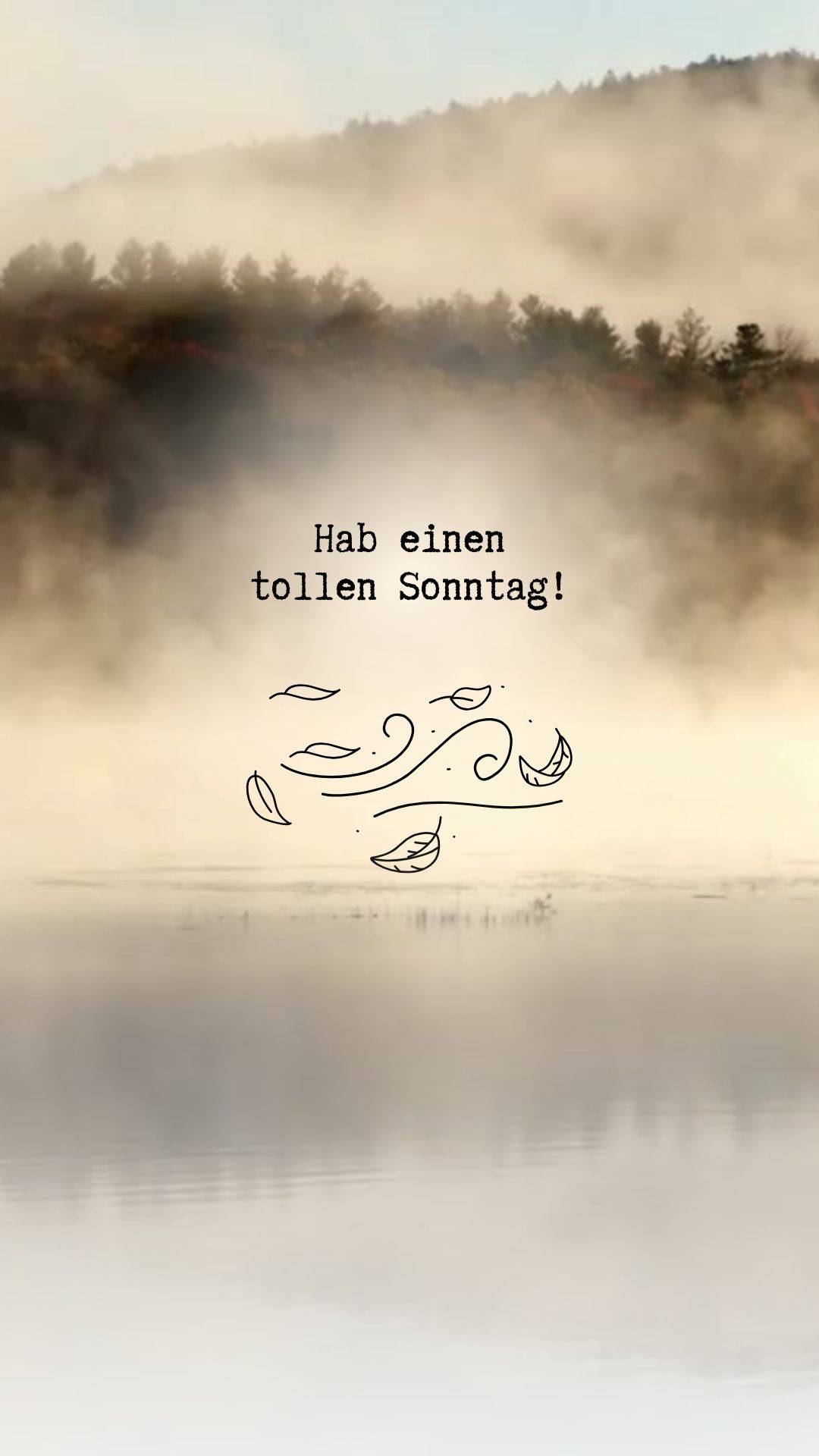 guten morgen bilder fürs handy kostenlos whatsapp sonntag
