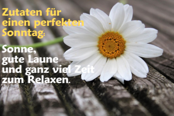 guten morgen sonntag bilder kostenlos für whatsapp