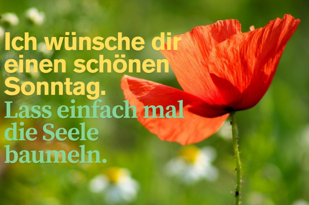 guten morgen sonntag bilder kostenlos für whatsapp
