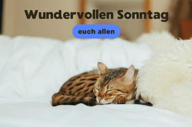 guten morgen sonntag bilder kostenlos für whatsapp
